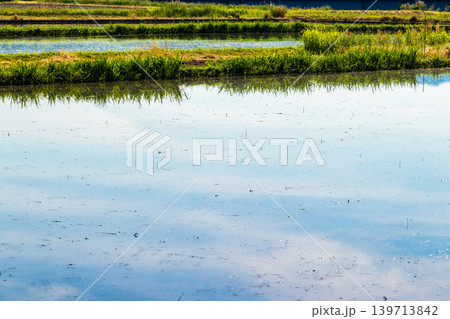 水を張った田植え前の水田に映り込んだ田舎の風景 水を張った田植え前の水田に映り込んだ田舎の風景 139713842