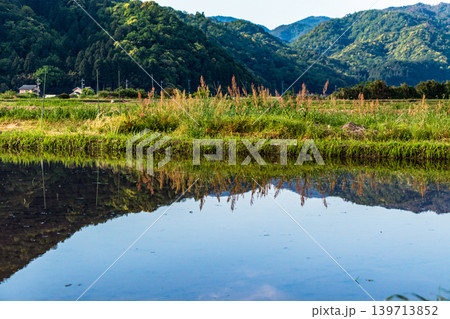 水を張った田植え前の水田に映り込んだ田舎の風景 水を張った田植え前の水田に映り込んだ田舎の風景 139713852