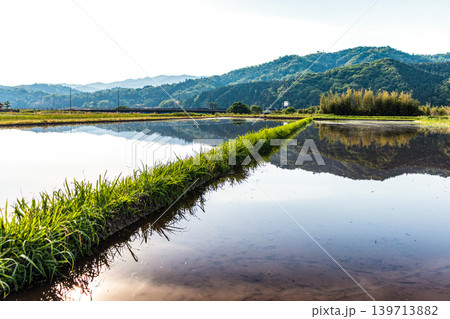 水を張った田植え前の水田に映り込んだ田舎の風景 水を張った田植え前の水田に映り込んだ田舎の風景 139713882