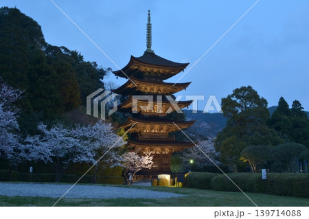瑠璃光寺五重塔春の夕暮れ 139714088