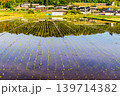田植えの後の水田に映り込んだ田舎の風景 139714382