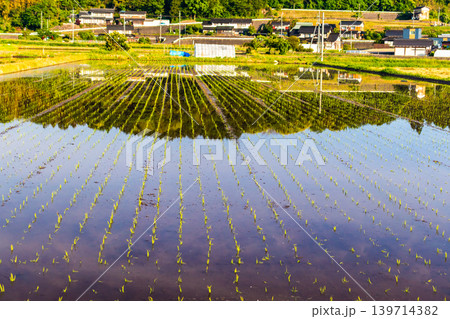 田植えの後の水田に映り込んだ田舎の風景 139714382
