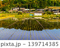 田植えの後の水田に映り込んだ田舎の風景 139714385
