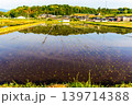 田植えの後の水田に映り込んだ田舎の風景 139714388