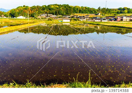 田植えの後の水田に映り込んだ田舎の風景 田植えの後の水田に映り込んだ田舎の風景 139714388