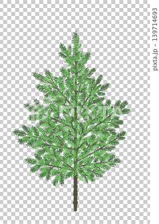 もみの木単体イラスト クリスマスツリー素材 背景透過 2 139714693