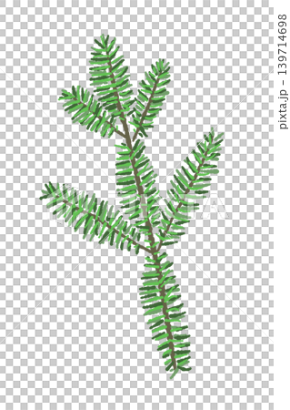 單杉樹枝和樹葉的插圖，植物裝飾材料，透明背景，2 139714698