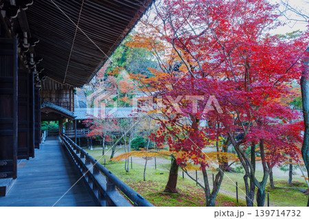 光明寺の紅葉 光明寺の紅葉 139714732