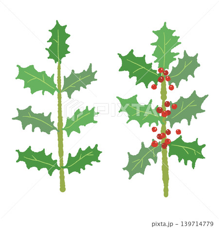 ヒイラギの枝イラストセット クリスマス装飾素材 背景透過 139714779