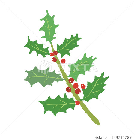 ヒイラギの赤い実がついた枝イラスト クリスマス素材 背景透過 139714785