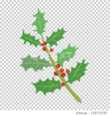 ヒイラギの赤い実がついた枝イラスト クリスマス素材 背景透過 139714785