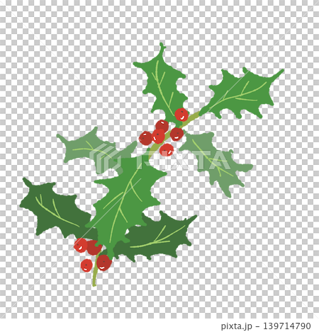 Illustration of a branch with red holly berries, Christmas material, transparent background 2 Illustration of a branch with red holly berries, Christmas material, transparent background 2 139714790