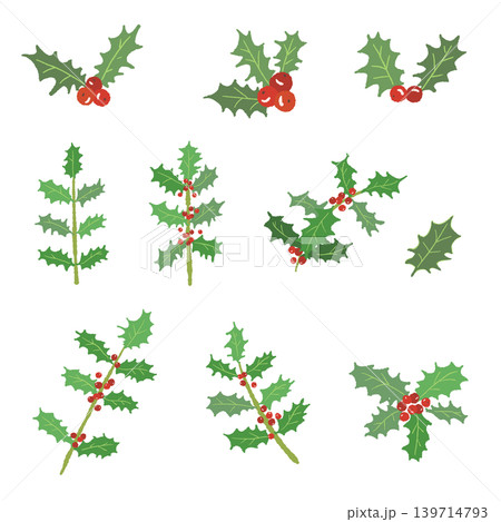 ヒイラギの枝葉アソートセット 詰め合わせ クリスマス素材 背景透過 139714793