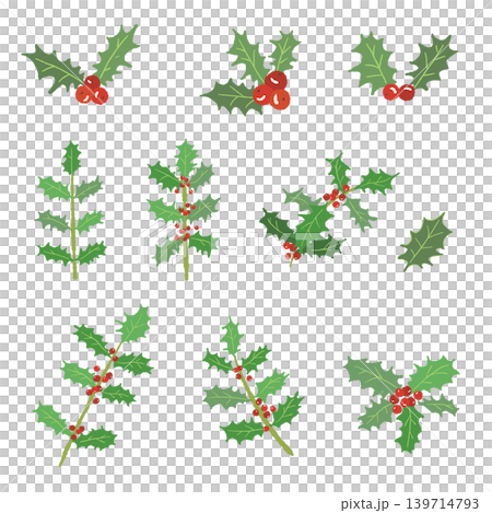 ヒイラギの枝葉アソートセット 詰め合わせ クリスマス素材 背景透過 139714793