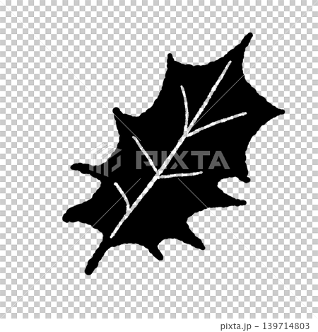 Monochrome illustration of a single holly leaf; botanical background with transparent background. Monochrome illustration of a single holly leaf; botanical background with transparent background. 139714803