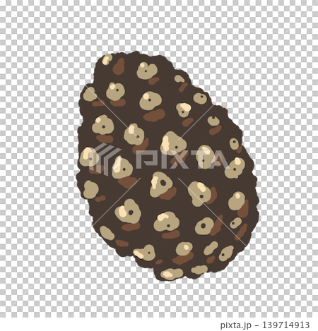 松ぼっくり 単体イラスト 横から見た図 閉じた形 背景透過 139714913