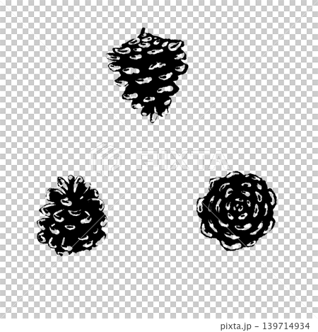 Pine cone set of 3, monochrome illustration material, botanical background transparent. Pine cone set of 3, monochrome illustration material, botanical background transparent. 139714934