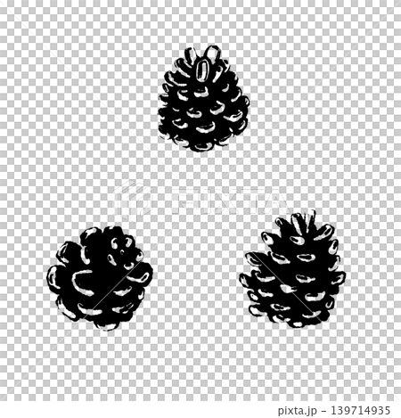 Pine cone set of 3, monochrome illustration material, botanical background transparent 2 Pine cone set of 3, monochrome illustration material, botanical background transparent 2 139714935