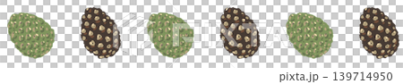 Round pine cone line border decoration illustration, mixed green, wide spacing, transparent background. Round pine cone line border decoration illustration, mixed green, wide spacing, transparent background. 139714950