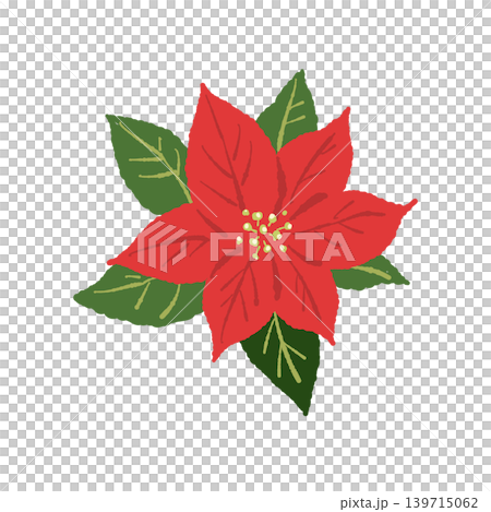 ポインセチア 単体イラスト 赤い花 ボタニカル素材 クリスマス背景透過 5 ポインセチア 単体イラスト 赤い花 ボタニカル素材 クリスマス背景透過 5 139715062