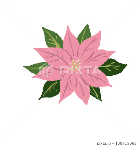 ポインセチア 単体イラスト ピンクの花 ボタニカル素材 クリスマス背景透過 ポインセチア 単体イラスト ピンクの花 ボタニカル素材 クリスマス背景透過 139715063
