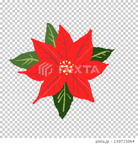 Poinsettia single illustration, red flower, botanical material, Christmas background transparent 6 Poinsettia single illustration, red flower, botanical material, Christmas background transparent 6 139715064