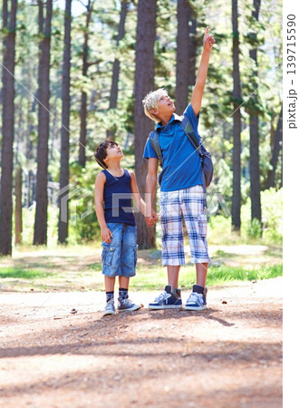 Boys, children and pointing at trees while hiking in forest, nature and exploration with adventure outdoor. Discovery, travel with brothers or friends trekking in park for sightseeing with backpack 139715590