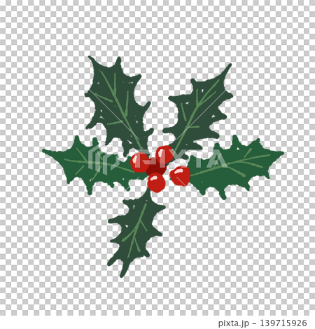 Holly leaf, simple decoration, standalone illustration, transparent background. 139715926