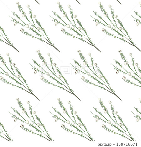 コットンフラワー ワイルドな枝葉の斜めシームレスパターン背景イラスト コットンフラワー ワイルドな枝葉の斜めシームレスパターン背景イラスト 139716671
