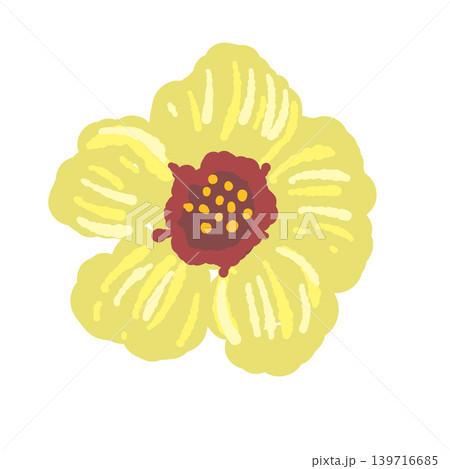 黄色い花 単体イラスト ボタニカル素材 背景透過 黄色い花 単体イラスト ボタニカル素材 背景透過 139716685
