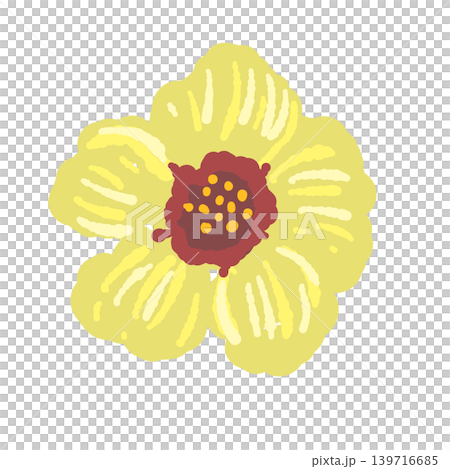 黄色い花 単体イラスト ボタニカル素材 背景透過 黄色い花 単体イラスト ボタニカル素材 背景透過 139716685