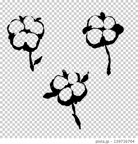 棉花漿果單色插圖套裝，植物部分素材，透明背景 139716704