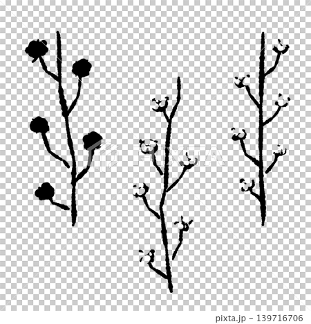 棉花枝和漿果單色插圖套裝，植物裝飾素材，透明背景。 139716706