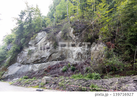 Forest in Germany, landslide 139716927