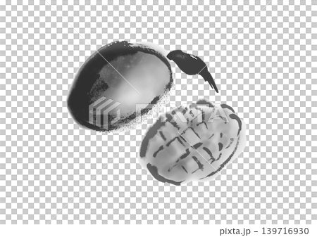 手繪芒果插圖，單色。 139716930
