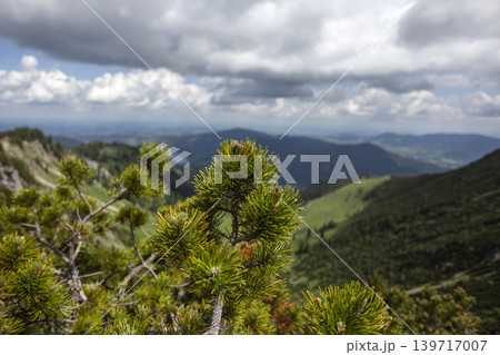 Mountain hiking at Brecherspitze mountain, Bavaria, Germany in summertime Mountain hiking at Brecherspitze mountain, Bavaria, Germany in summertime 139717007