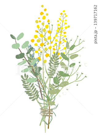 Mimosa and Mixed Herb Botanical Bouquet Mimosa and Mixed Herb Botanical Bouquet 139717162