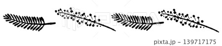 Scattered Mimosa Flower Line Divider for 139717175