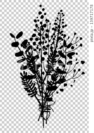 Mimosa and Mixed Herb Botanical Bouquet Monochrome 139717178