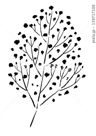 カスミソウの枝（単体）のモノクロ手描きイラスト素材 139717188