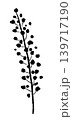 ミモザの花穂と枝（単体アップ）のモノクロ手描きイラスト素材 139717190