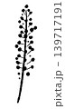 ミモザの花穂と枝（単体アップ・別角度）のモノクロ手描きイラスト 139717191