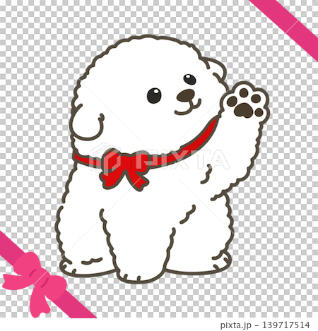 A Bichon Frise puppy sitting and waving, wearing a red ribbon (with outline). A Bichon Frise puppy sitting and waving, wearing a red ribbon (with outline). 139717514