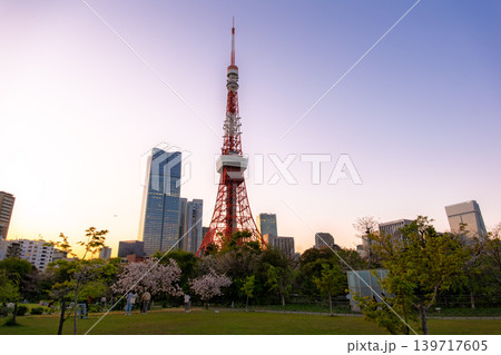 東京都港区 芝公園の広場に咲く桜と夕暮れ時の東京タワー・麻布台ヒルズ 139717605