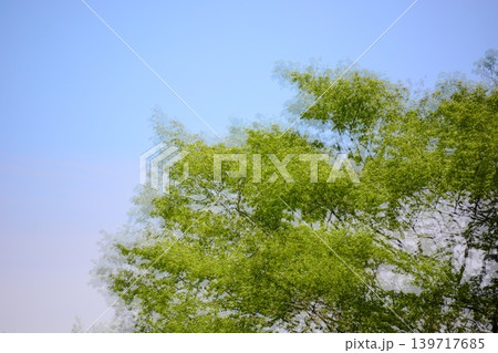 多重撮影 139717685
