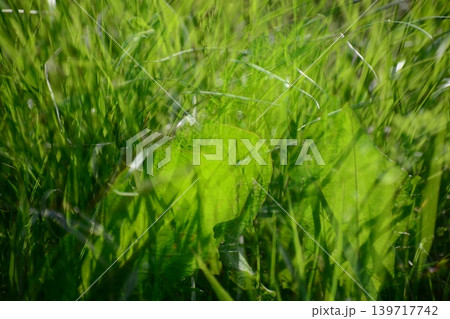多重撮影 多重撮影 139717742