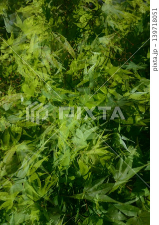 多重撮影 多重撮影 139718051
