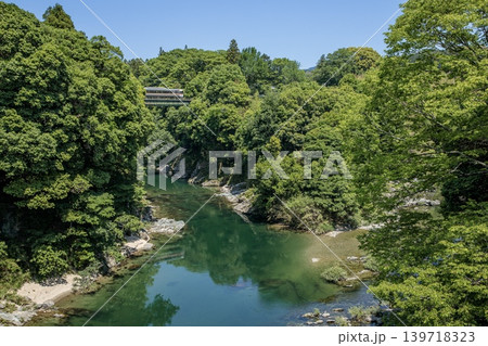 新城市、牛渕橋から眺める長篠城と鉄橋を渡る特急伊那路 139718323