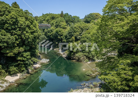 新城市、牛渕橋から眺める長篠城と鉄橋を渡る特急伊那路 139718324