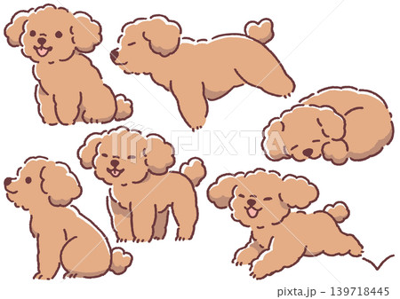 イラスト素材: シンプルかわいい犬のイラストセット　トイプードルポーズ集_リッチタイプ② 139718445